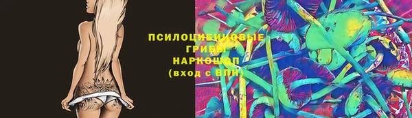 гидра Карталы