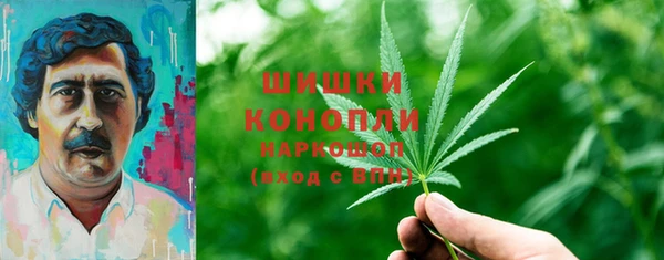 шишки Касимов