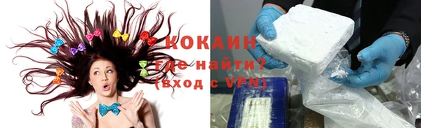 шишки Касимов