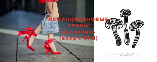 крисы Карпинск