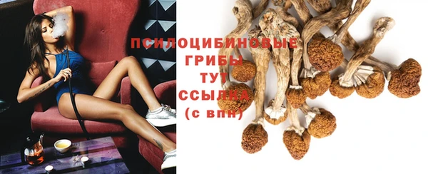 гидра Карталы