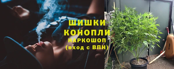 шишки Касимов