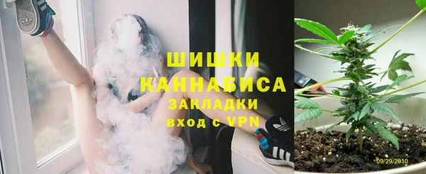 крисы Карпинск